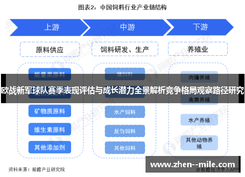 欧战新军球队赛季表现评估与成长潜力全景解析竞争格局观察路径研究