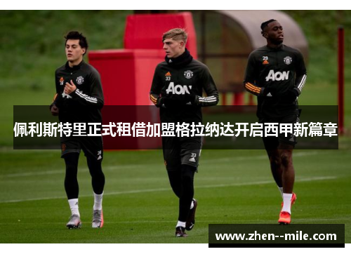 佩利斯特里正式租借加盟格拉纳达开启西甲新篇章 佩利斯特里正式租借加盟格拉纳达开启西甲新篇章