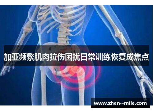 加亚频繁肌肉拉伤困扰日常训练恢复成焦点