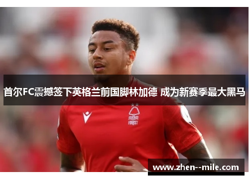 首尔FC震撼签下英格兰前国脚林加德 成为新赛季最大黑马 首尔FC震撼签下英格兰前国脚林加德 成为新赛季最大黑马