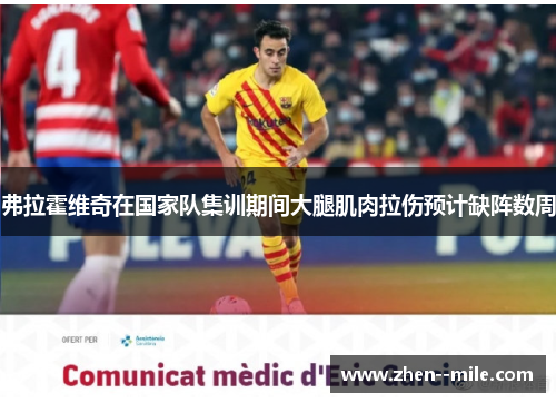 弗拉霍维奇在国家队集训期间大腿肌肉拉伤预计缺阵数周 弗拉霍维奇在国家队集训期间大腿肌肉拉伤预计缺阵数周